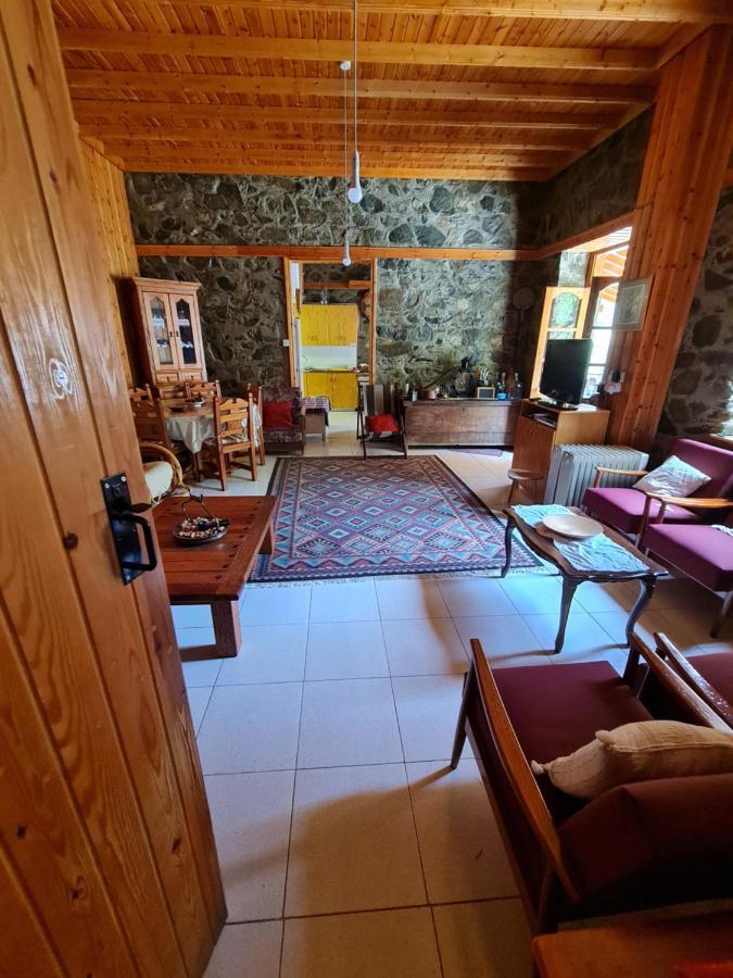 Villa Elpiniki's Old House Kalopanagiotis